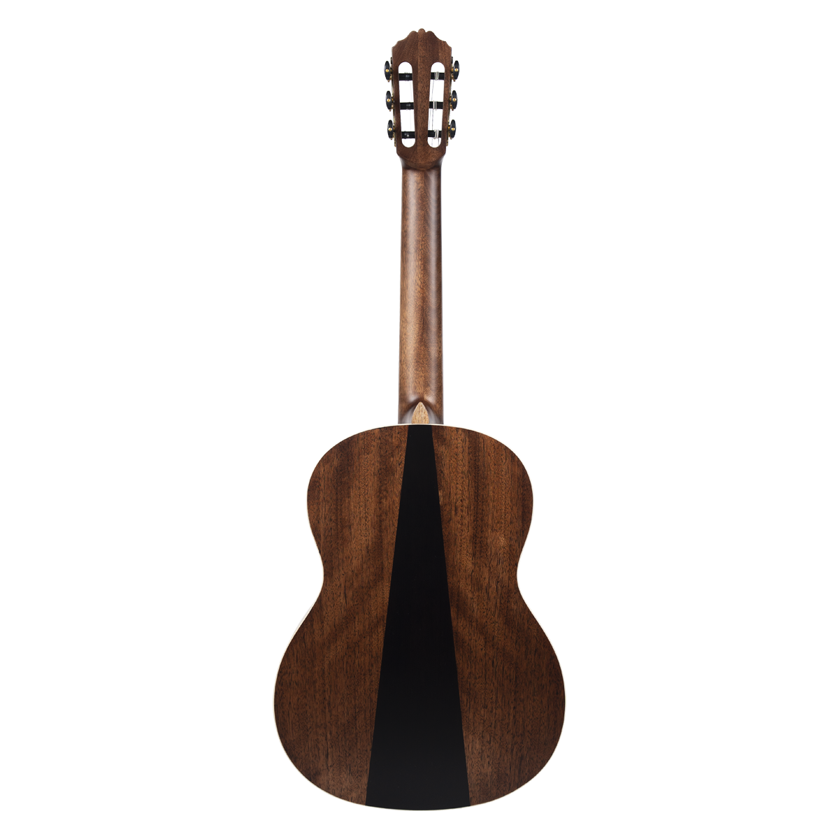 Meridaextrema PC43-NT(3)