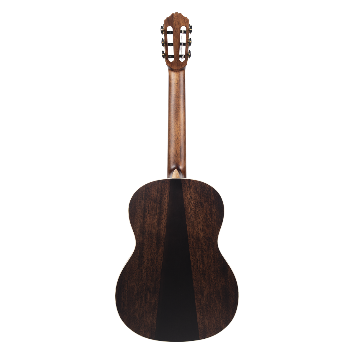 Meridaextrema PC43VT(3)