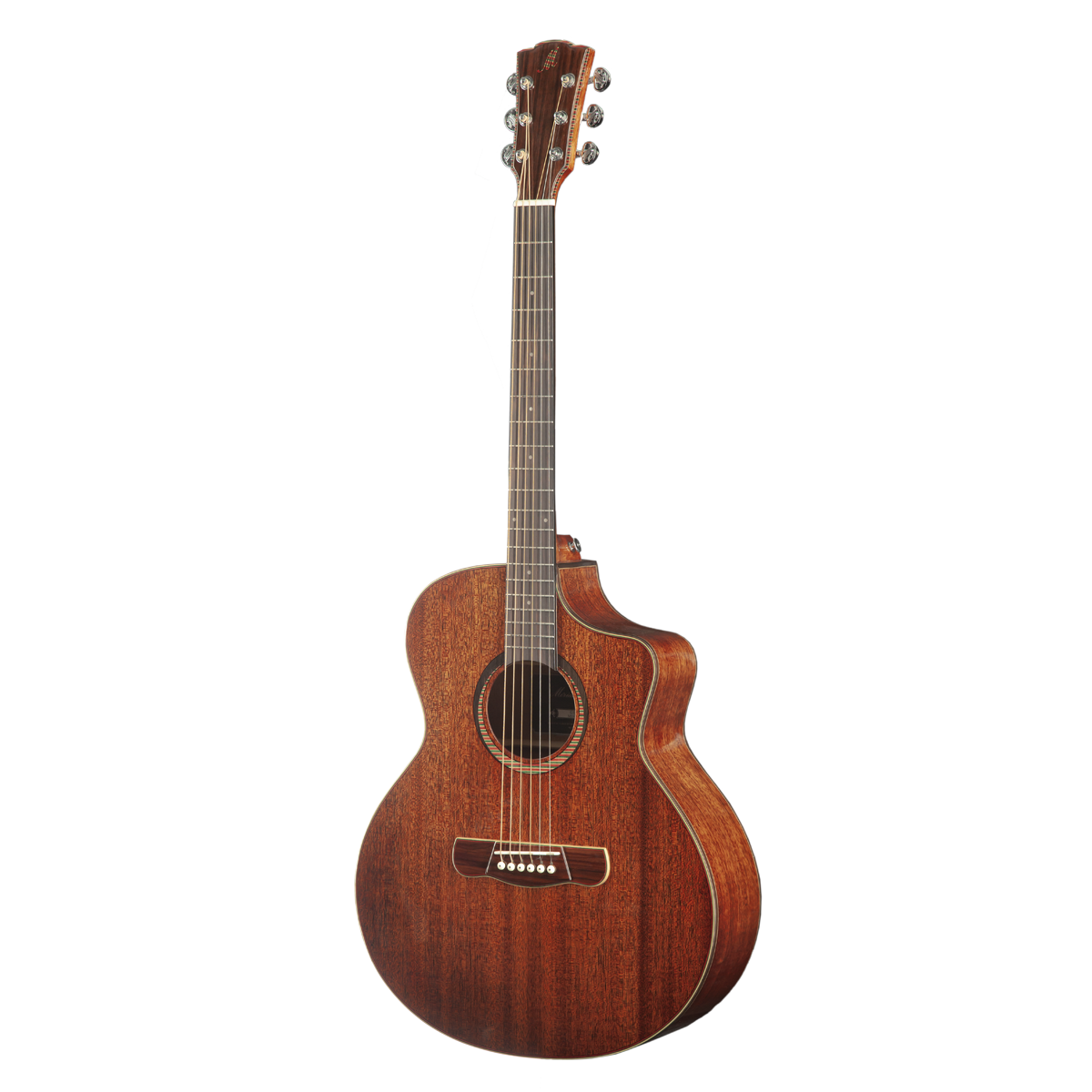 Meridaextrema C15CS (2)png