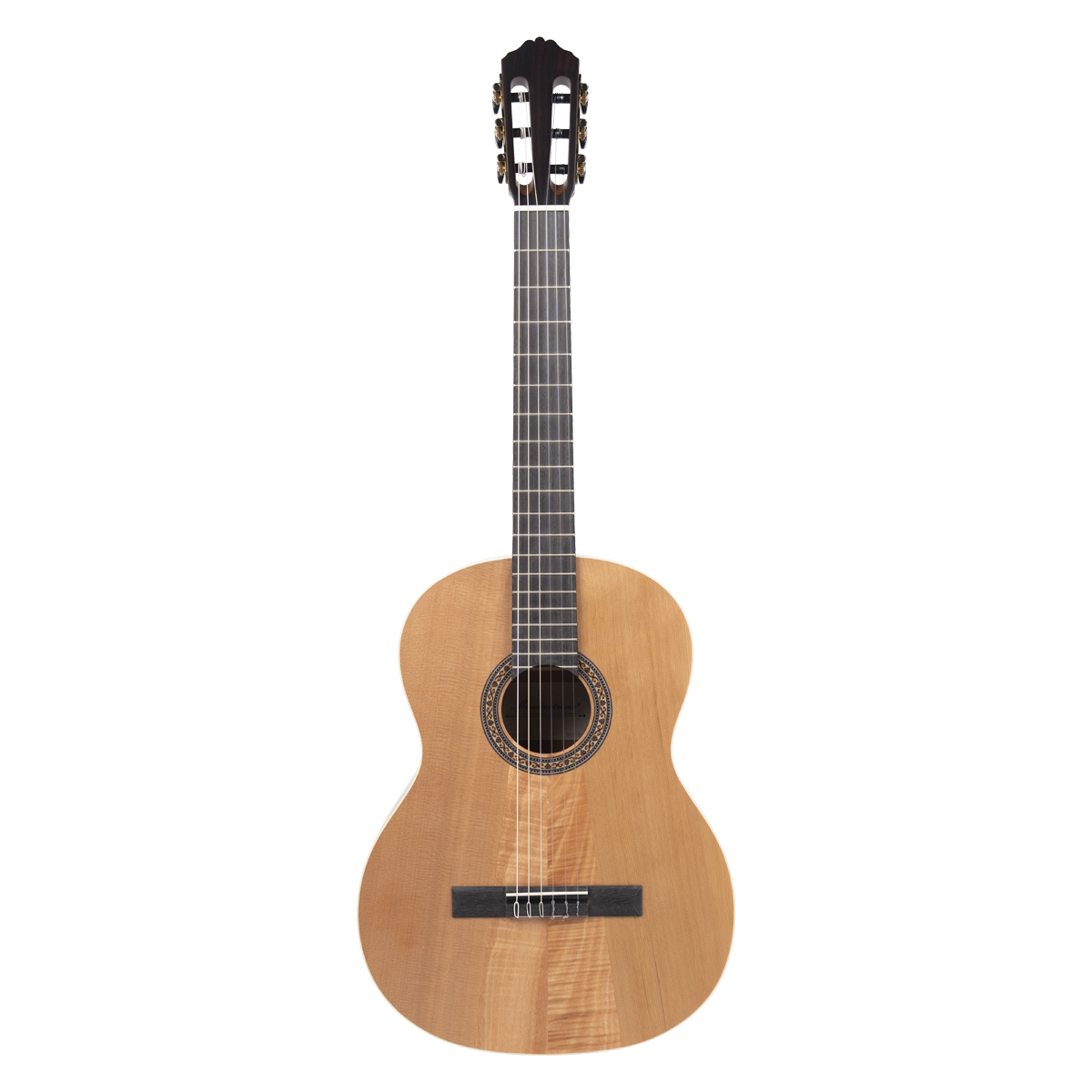 Meridaextrema PC33C-NT(1)