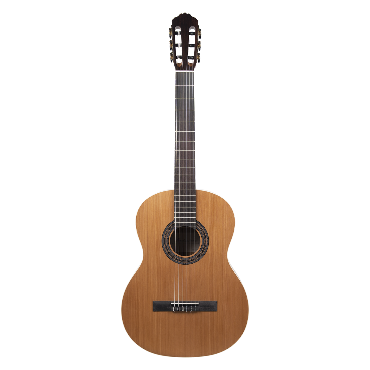 Meridaextrema PC43-NT(1)