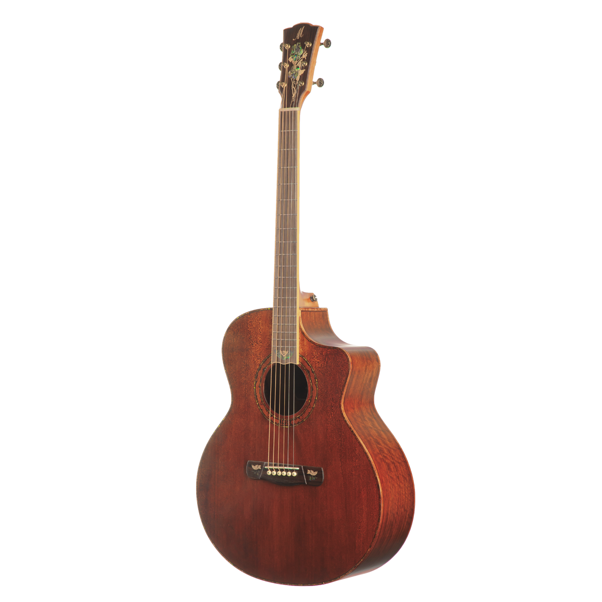 Meridaextrema DG20FOLC