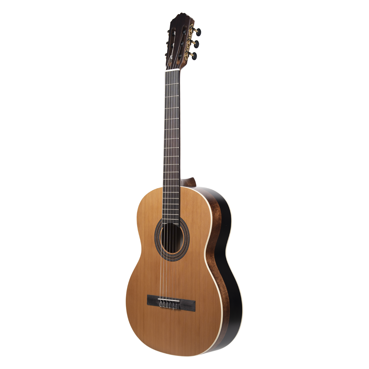 Meridaextrema PC43-NT(2)