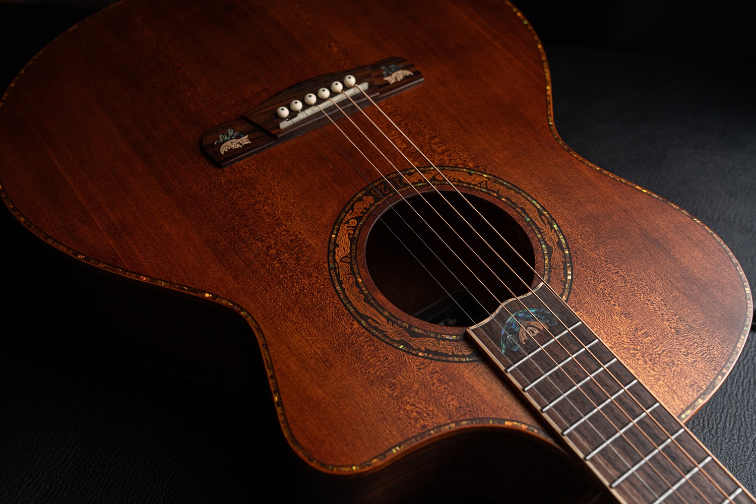 Meridaextrema DG20FOLC