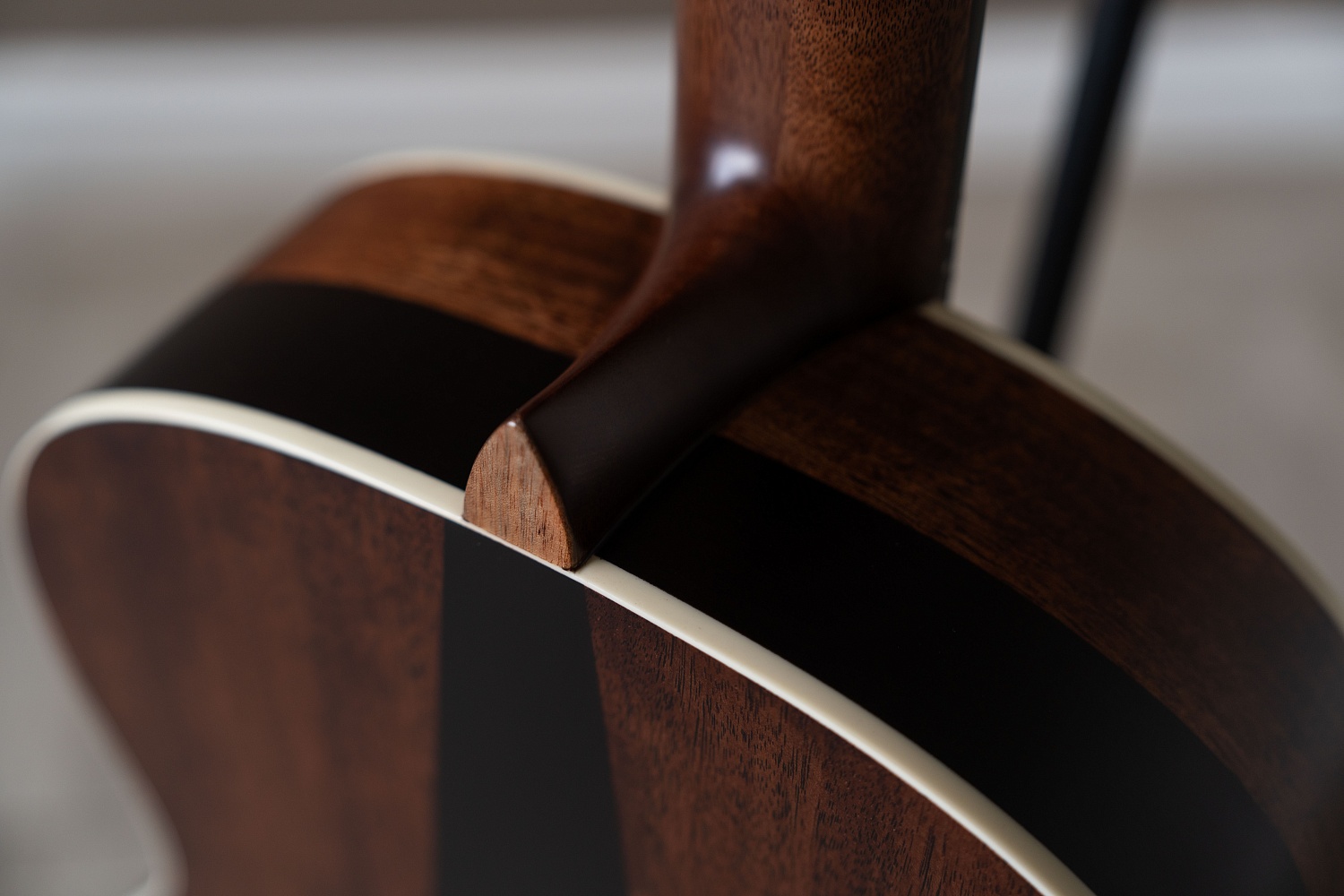 Meridaextrema PC43-NT