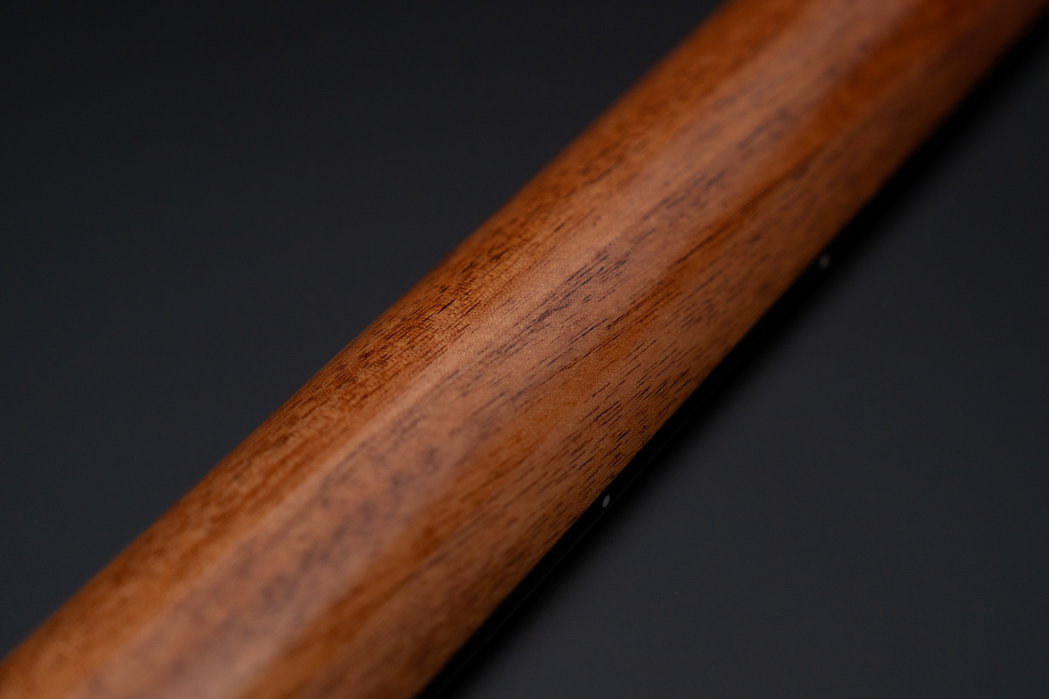 Meridaextrema Winter