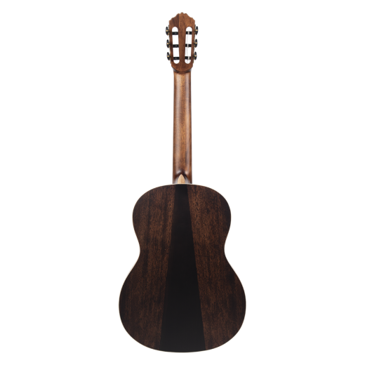 Meridaextrema PC43VT(3)