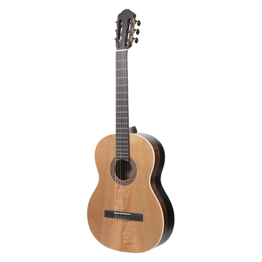 Meridaextrema PC33C-NT(2)