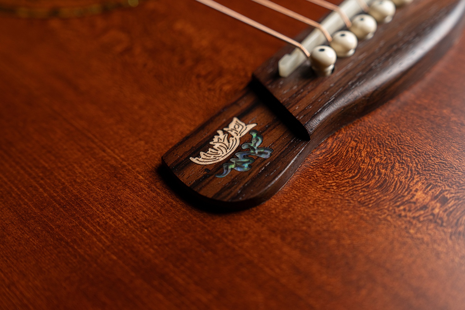 Meridaextrema DG20FOLC