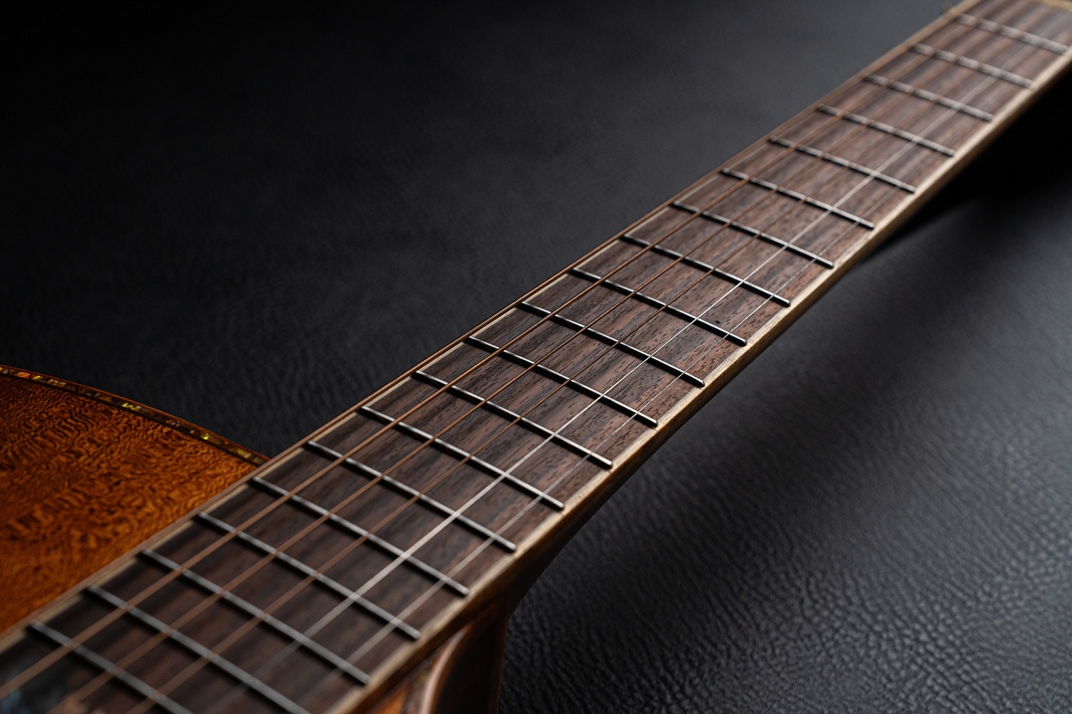 Meridaextrema DG20FOLC