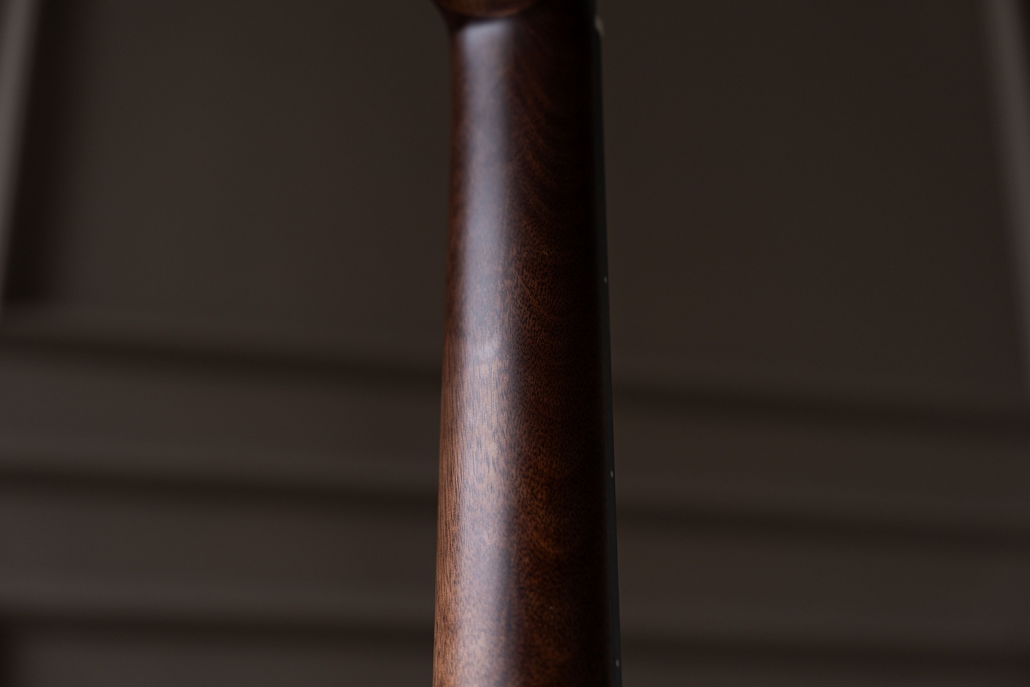 Meridaextrema PC43-NT