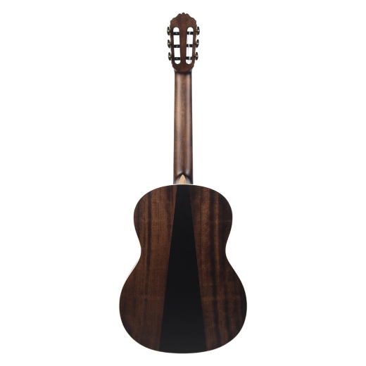 Meridaextrema PC33C-NT(3)