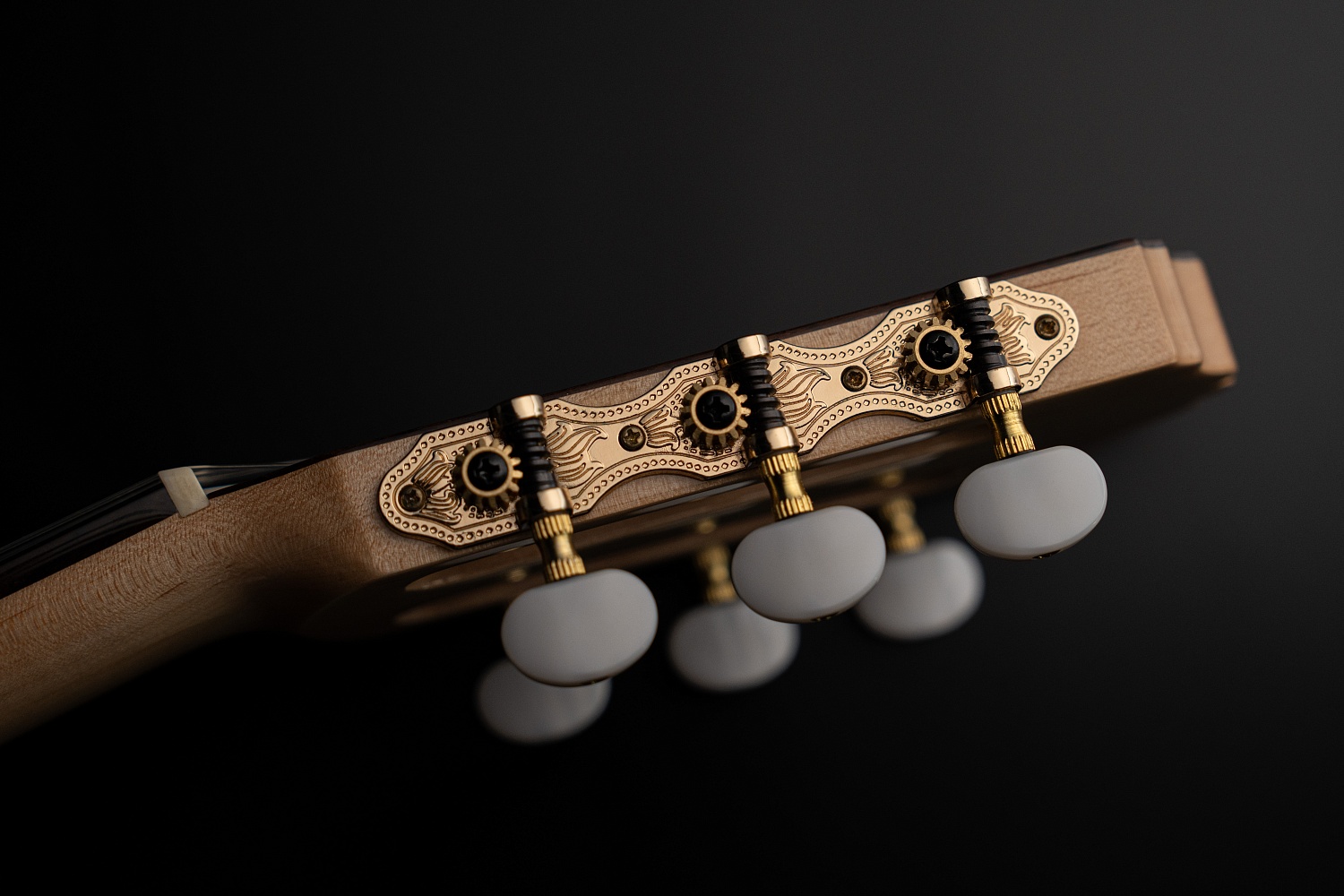 Meridaextrema MC-17ASH