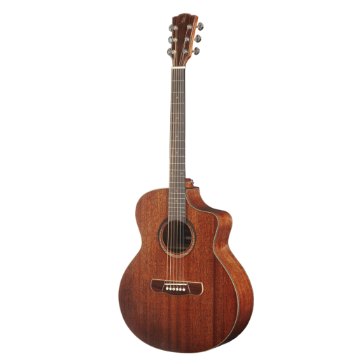 Meridaextrema C15CS (2)png