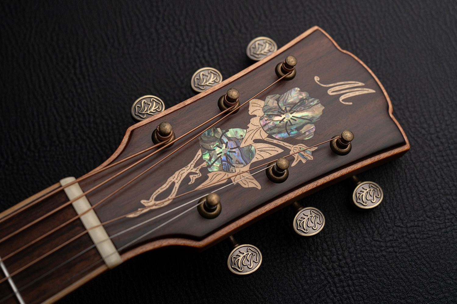 Meridaextrema DG20FOLC