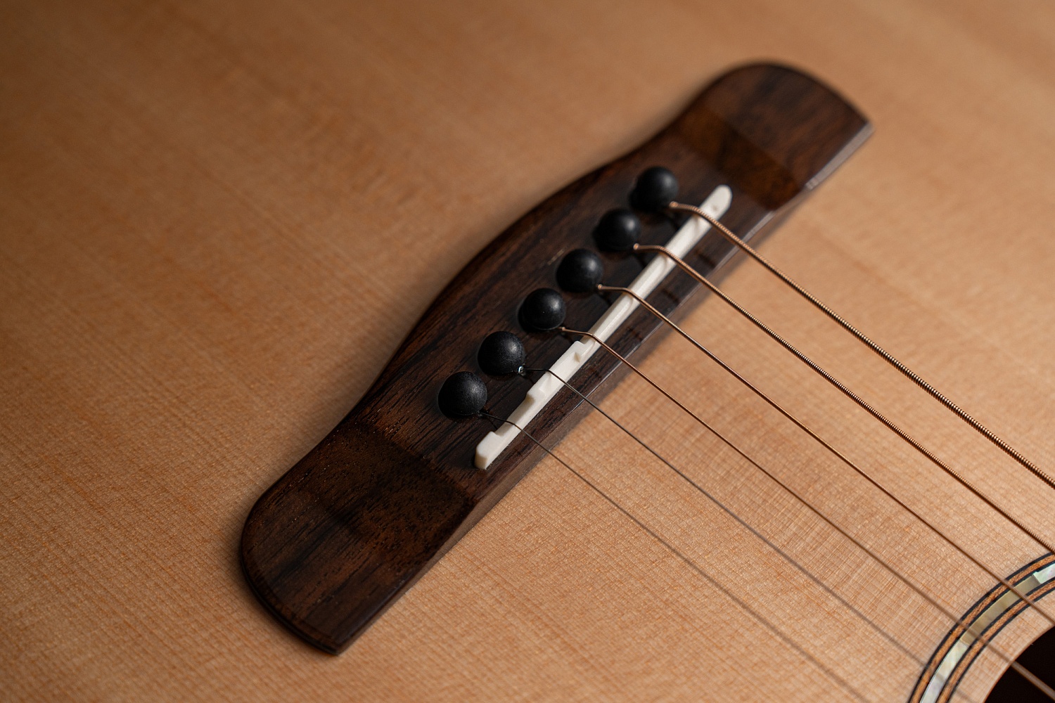 Meridaextrema R2SMDC