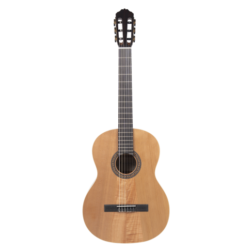 Meridaextrema PC33C-NT(1)