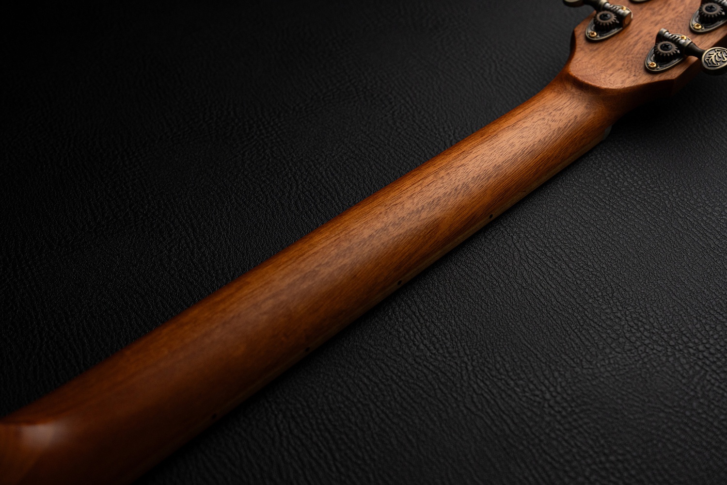 Meridaextrema DG20FOLC