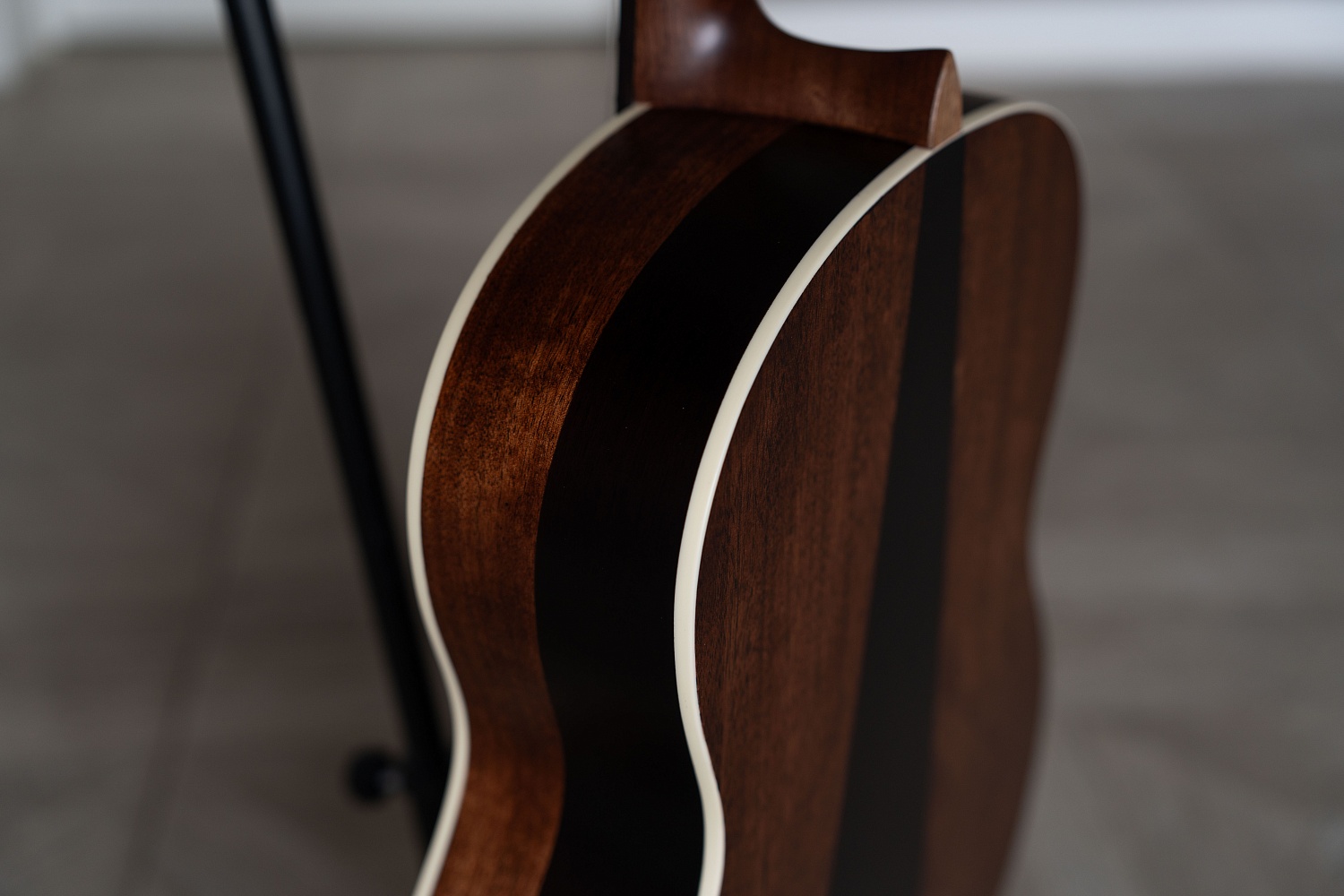 Meridaextrema PC43-NT