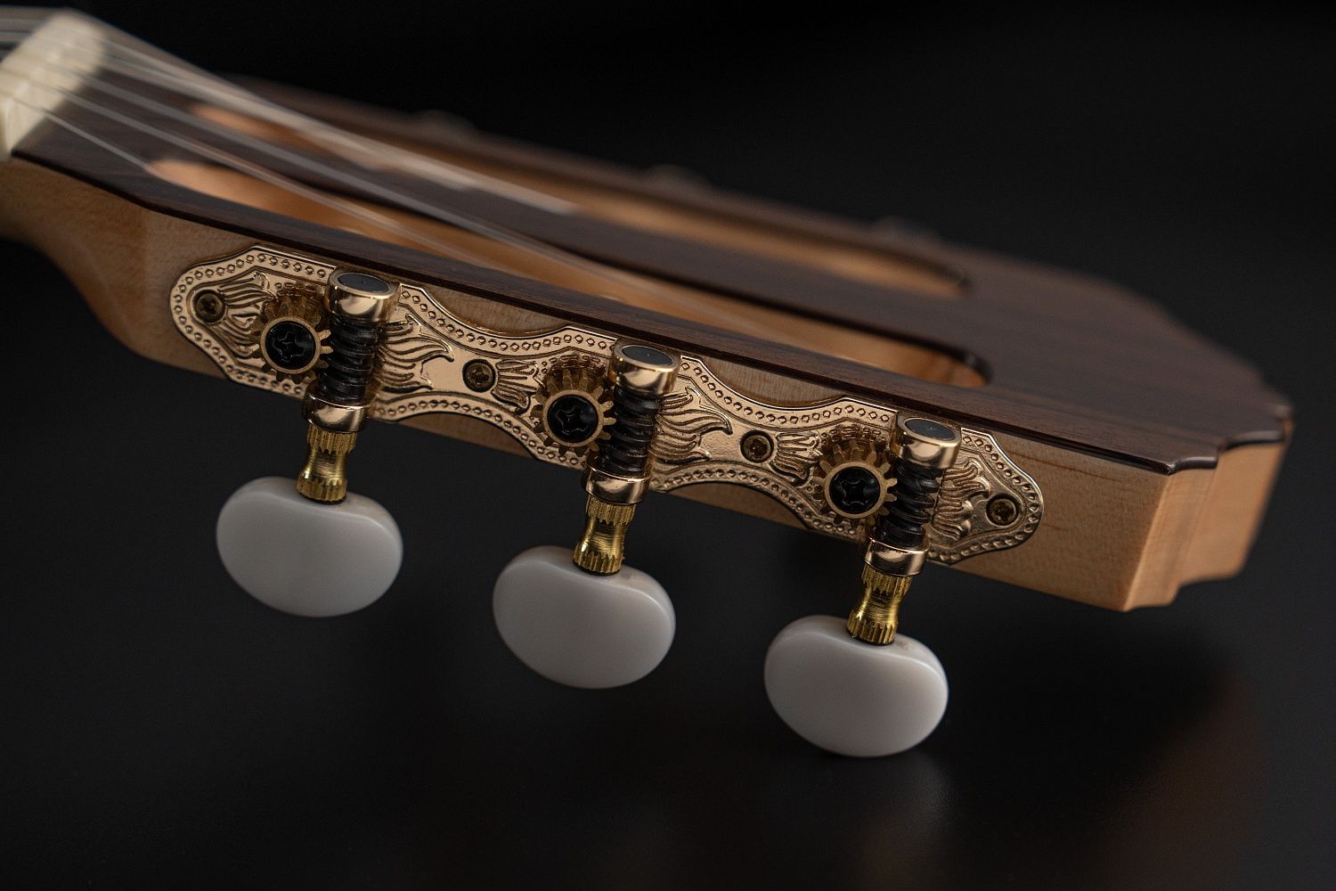 Meridaextrema MC-17ASH