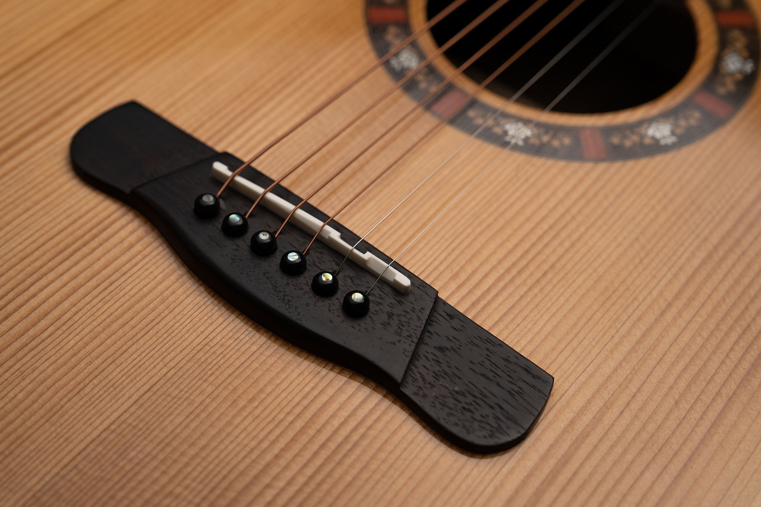 Meridaextrema A17GAC