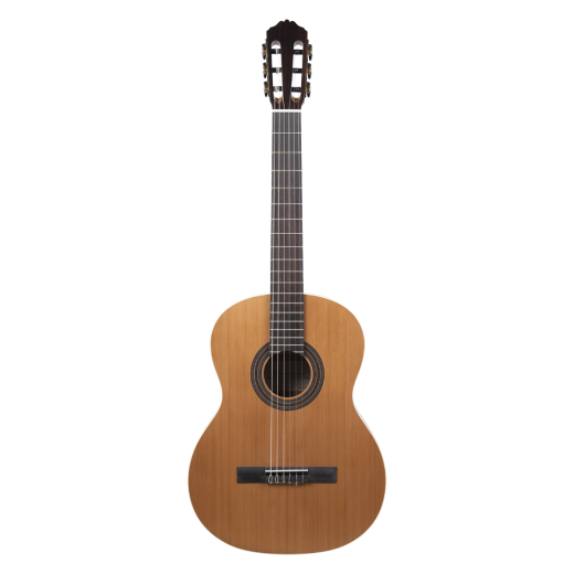 Meridaextrema PC43-NT(1)