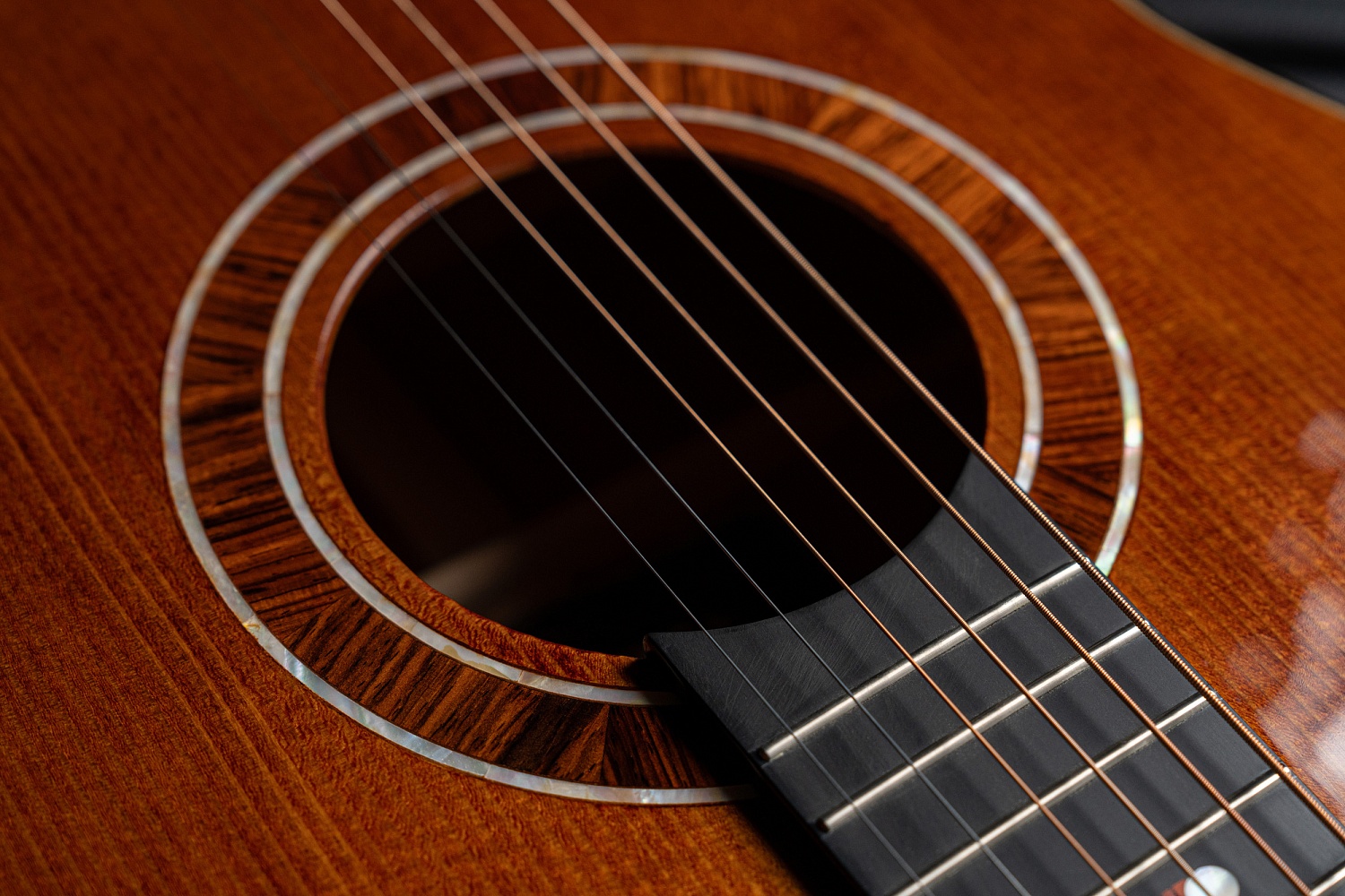 Meridaextrema M1MH New