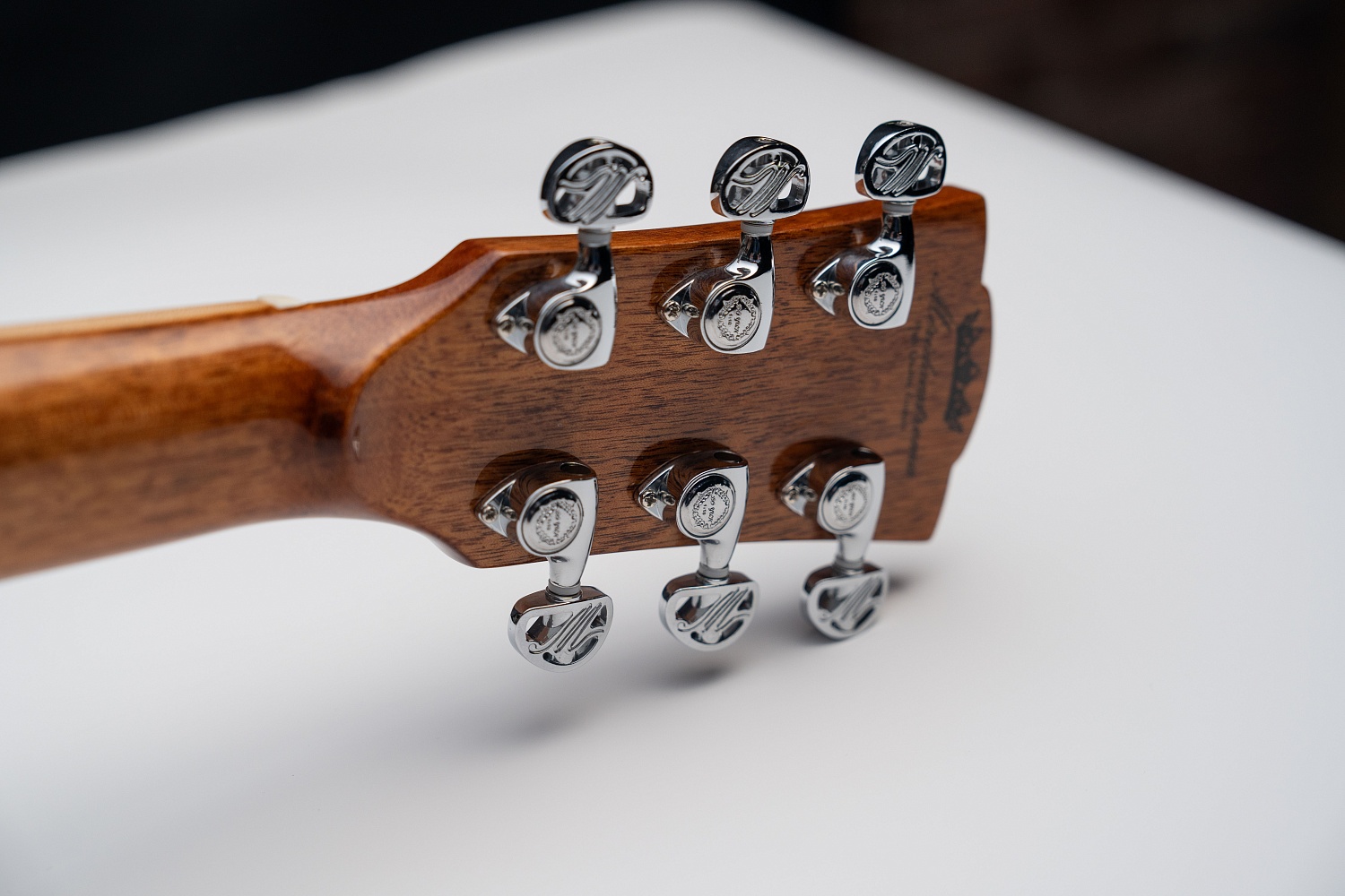 Meridaextrema A17GAC