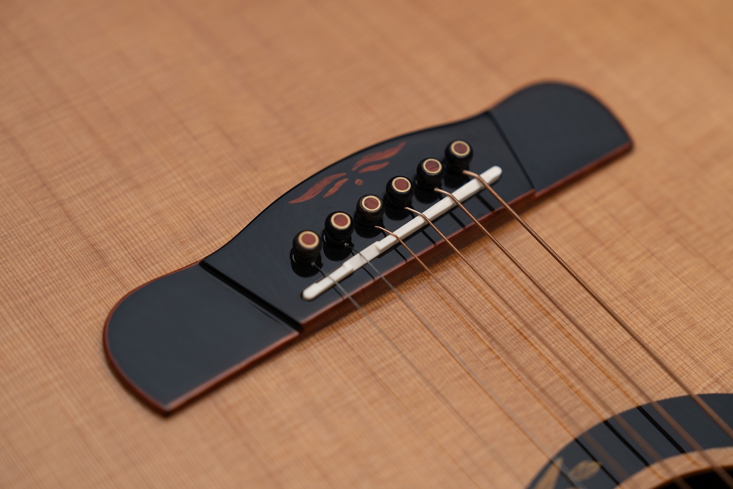 Meridaextrema Autumn