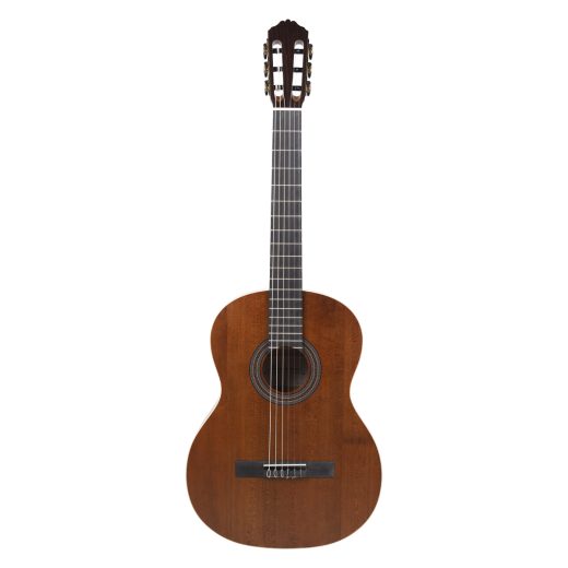 Meridaextrema PC43VT(1)