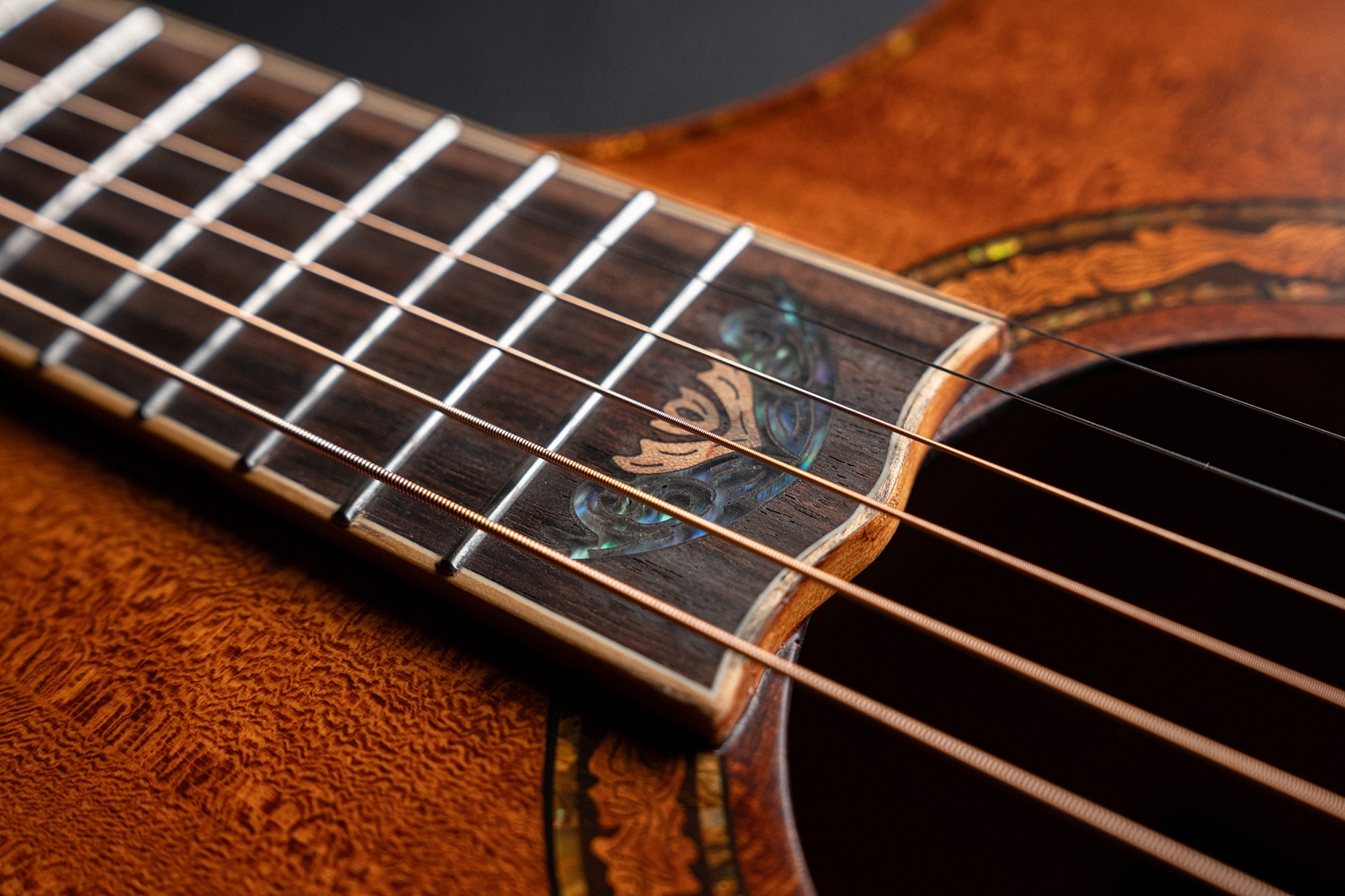 Meridaextrema DG20FOLC