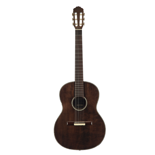 Meridaextrema MC17ASH (1)