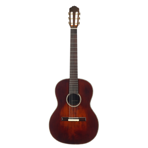 Meridaextrema MC17KOA (1)