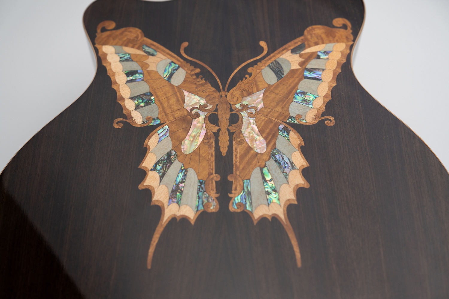 Meridaextrema A17GAC