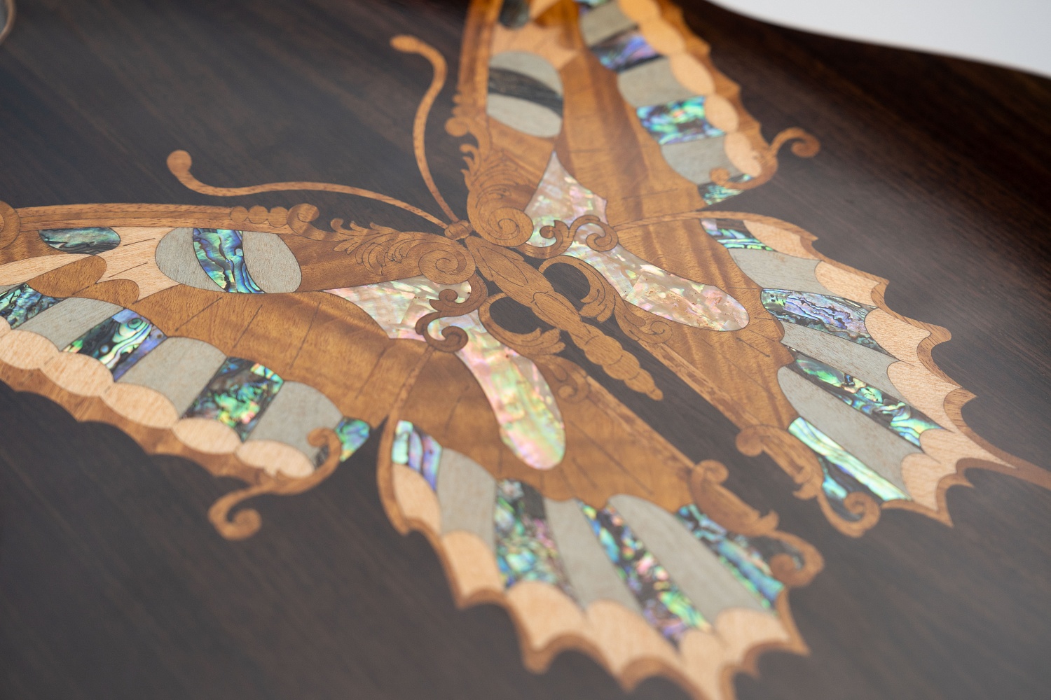 Meridaextrema A17GAC