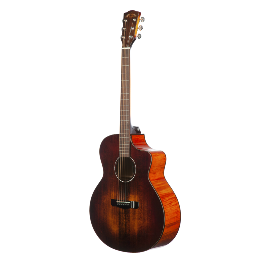 Meridaextrema DG20MFCS (2)