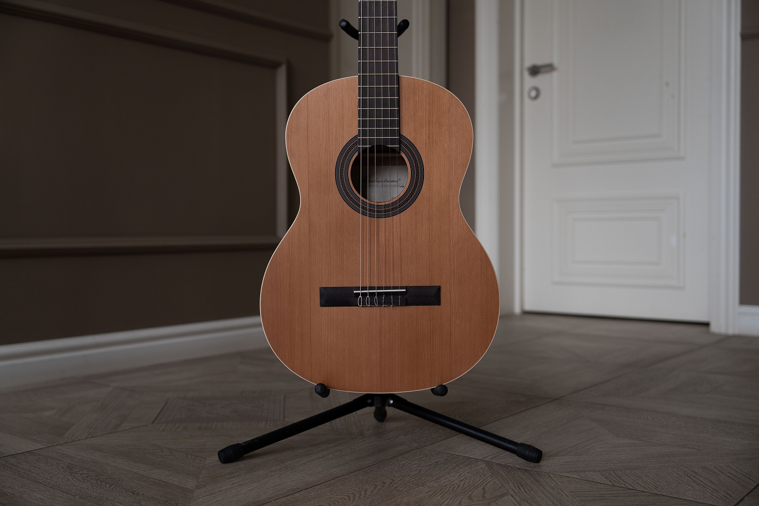 Meridaextrema PC43-NT