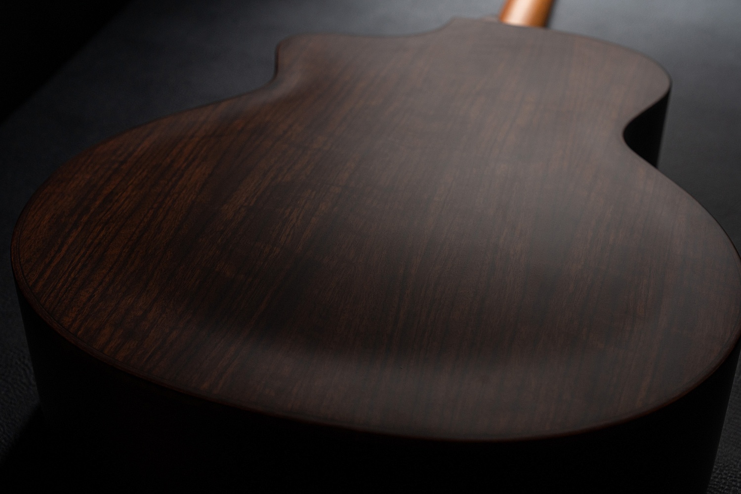 Meridaextrema DG20FOLC