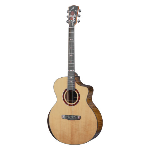 Meridaextrema M1NCS New (2)