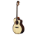 Meridaextrema Sadhu T