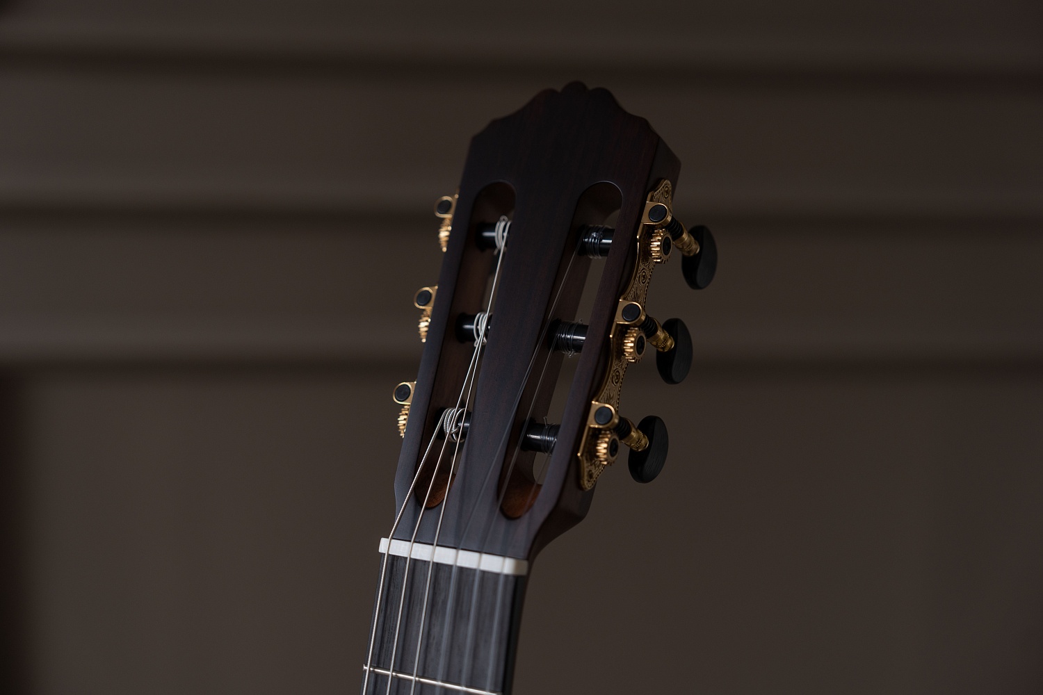 Meridaextrema PC43-NT