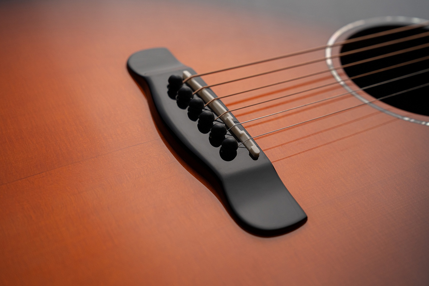 Meridaextrema Red Fox