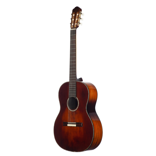 Meridaextrema MC17KOA (2)