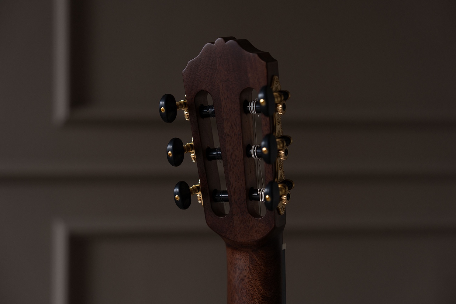 Meridaextrema PC43-NT