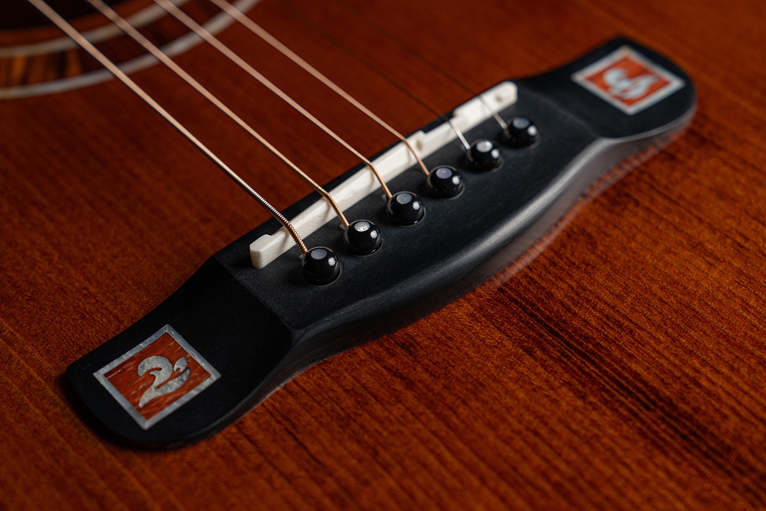 Meridaextrema M1MH New