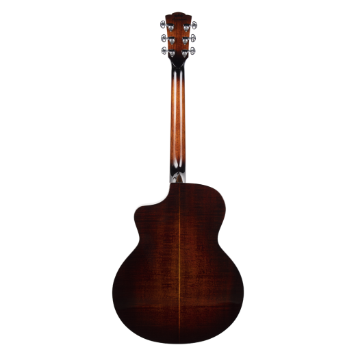 Meridaextrema DG20RMCS(3)