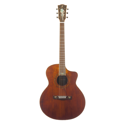 Meridaextrema DG20FOLC