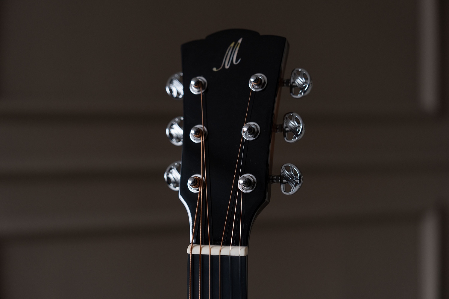 Meridaextrema DG-20BWCS