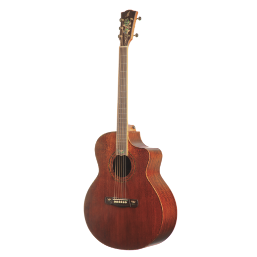 Meridaextrema DG20FOLC