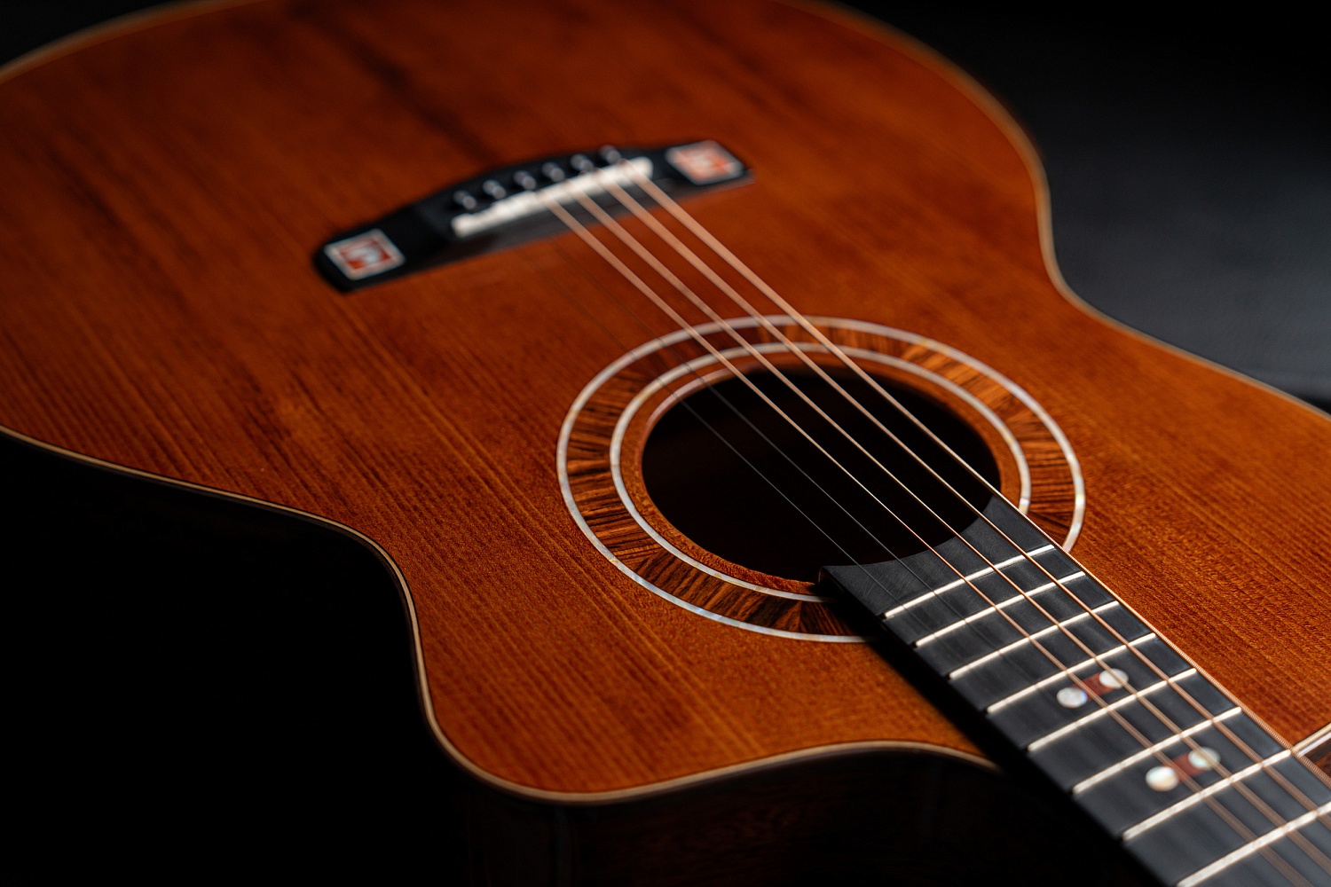 Meridaextrema M1MH New